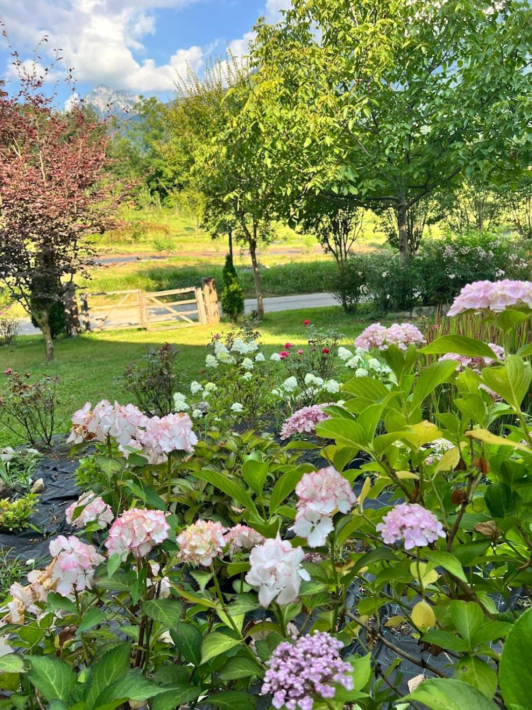 Villa Casa Delle Arti Fattoria Dei Fiori à Sospirolo Extérieur photo
